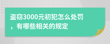 盗窃3000元初犯怎么处罚，有哪些相关的规定