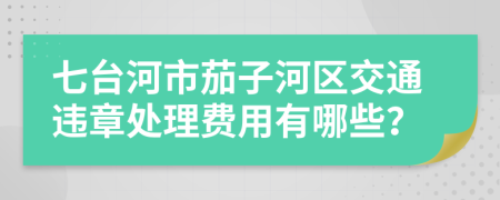 七台河市茄子河区交通违章处理费用有哪些？