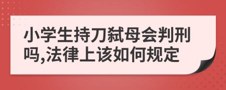 小学生持刀弑母会判刑吗,法律上该如何规定