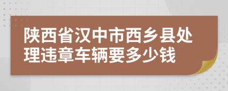 陕西省汉中市西乡县处理违章车辆要多少钱