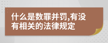 什么是数罪并罚,有没有相关的法律规定