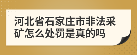 河北省石家庄市非法采矿怎么处罚是真的吗