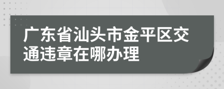 广东省汕头市金平区交通违章在哪办理