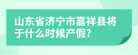 山东省济宁市嘉祥县将于什么时候产假?