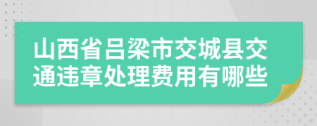 山西省吕梁市交城县交通违章处理费用有哪些