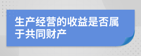 生产经营的收益是否属于共同财产