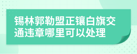 锡林郭勒盟正镶白旗交通违章哪里可以处理