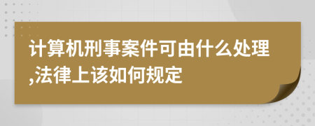 计算机刑事案件可由什么处理,法律上该如何规定