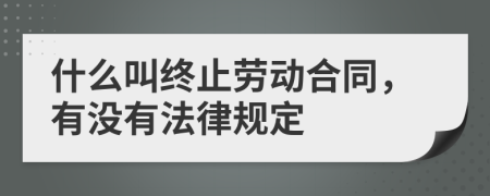 什么叫终止劳动合同，有没有法律规定