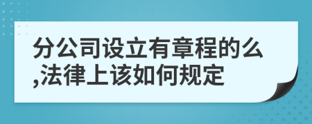 分公司设立有章程的么,法律上该如何规定