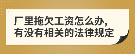 厂里拖欠工资怎么办,有没有相关的法律规定