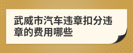 武威市汽车违章扣分违章的费用哪些