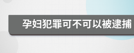 孕妇犯罪可不可以被逮捕