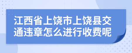 江西省上饶市上饶县交通违章怎么进行收费呢