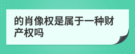 的肖像权是属于一种财产权吗