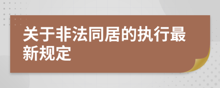 关于非法同居的执行最新规定