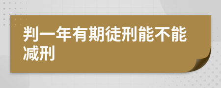 判一年有期徒刑能不能减刑