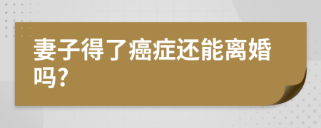 妻子得了癌症还能离婚吗?