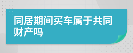 同居期间买车属于共同财产吗