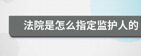 法院是怎么指定监护人的