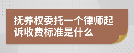 抚养权委托一个律师起诉收费标准是什么