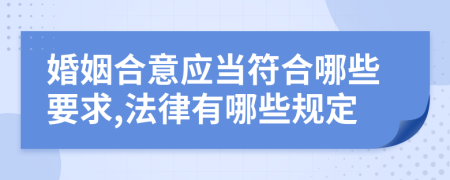 婚姻合意应当符合哪些要求,法律有哪些规定