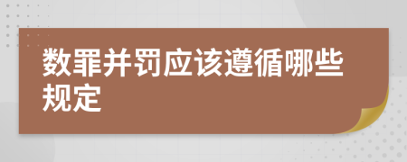 数罪并罚应该遵循哪些规定