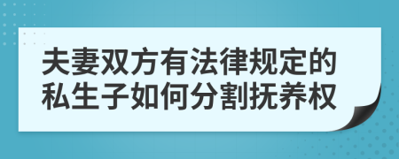 夫妻双方有法律规定的私生子如何分割抚养权
