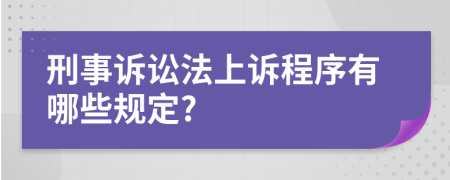 刑事诉讼法上诉程序有哪些规定?