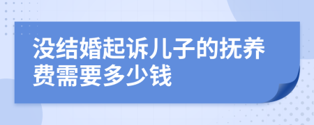 没结婚起诉儿子的抚养费需要多少钱