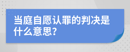 当庭自愿认罪的判决是什么意思？