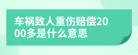 车祸致人重伤赔偿2000多是什么意思