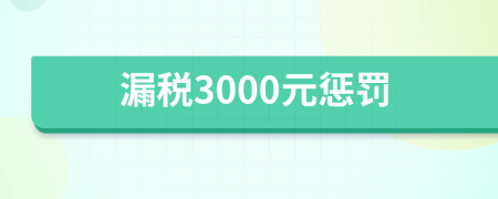 漏税3000元惩罚