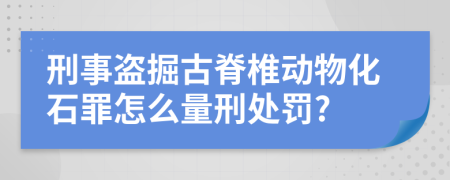 刑事盗掘古脊椎动物化石罪怎么量刑处罚?