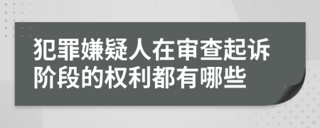 犯罪嫌疑人在审查起诉阶段的权利都有哪些