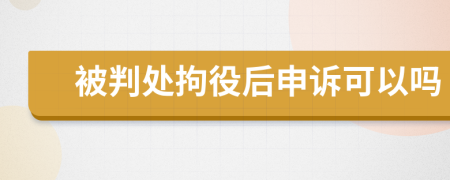 被判处拘役后申诉可以吗