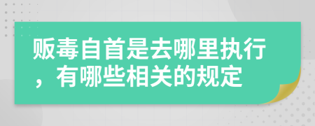 贩毒自首是去哪里执行，有哪些相关的规定