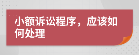 小额诉讼程序，应该如何处理