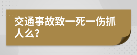 交通事故致一死一伤抓人么？