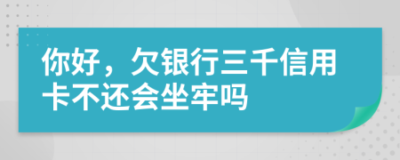 你好，欠银行三千信用卡不还会坐牢吗