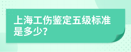 上海工伤鉴定五级标准是多少？