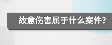 故意伤害属于什么案件？