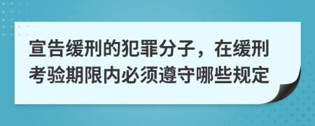 宣告缓刑的犯罪分子，在缓刑考验期限内必须遵守哪些规定