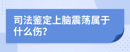 司法鉴定上脑震荡属于什么伤？