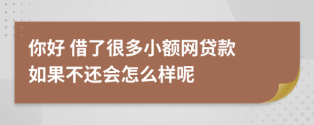 你好 借了很多小额网贷款 如果不还会怎么样呢