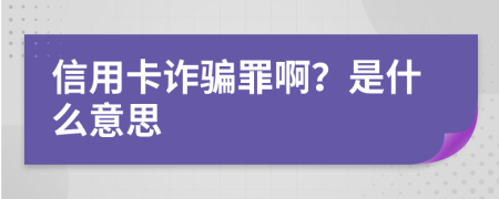 信用卡诈骗罪啊？是什么意思