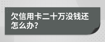 欠信用卡二十万没钱还怎么办？