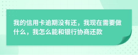 我的信用卡逾期没有还，我现在需要做什么，我怎么能和银行协商还款