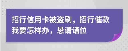 招行信用卡被盗刷，招行催款我要怎样办，恳请诸位