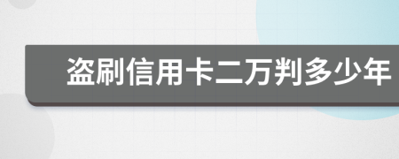 盗刷信用卡二万判多少年